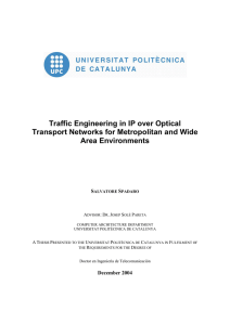 Traffic Engineering in IP over Optical Area Environments