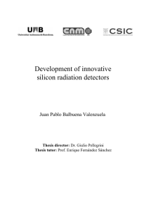 Development of innovative silicon radiation detectors Juan Pablo Balbuena Valenzuela Thesis director: