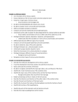 BIOL 2121 Study Guide Test 4 Chapter 11: Nervous System List 3