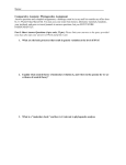 Comparative Anatomy: Phylogenetics Assignment