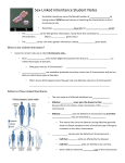 Sex-Linked Inheritance Student Notes • Sex linked inheritance