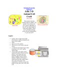 Jello Cell