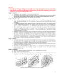 TO 6.2.1 A) Describe the evolution of a typical baroclinic wave from