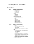 Circulatory System – Notes Outline