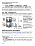 Software for Evolutionary Analysis © 2002 Jon C