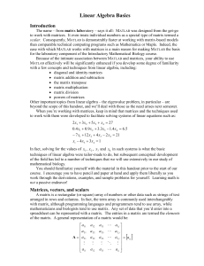 Linear Algebra Background