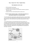 Chapter 21 and 22 Notes - Plants