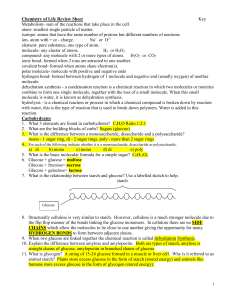Chemistry of Life Review Sheet Key