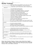 Weather Vocabulary Test