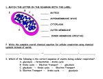 MATCH THE LETTER IN THE DIAGRAM WITH THE LABEL: