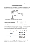 Name Date ______ Lab genetic engineering using bacteria In this