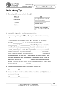 B3 Homework and answers