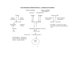 Interrelationship of Metabolic Pathways – Anabolism and Catabolism