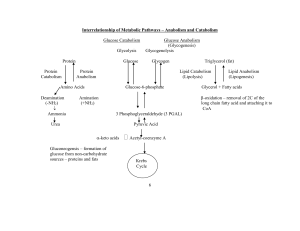 Interrelationship of Metabolic Pathways – Anabolism and Catabolism