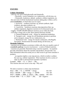 ENZYMES