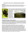 Gorillas: an example of an issue report