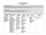 pl/vs curriculum framework