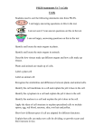 PILES statements Yr 7 A Cells