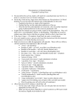 Phytoplankton Cell Model Building: Expanded Teaching Notes The