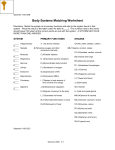 Body Systems Matching Worksheet