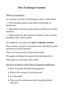 Pure Exchange Economy