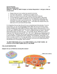 Midterm Study Guide (No Evol) Foley