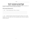 (pt=3) What is the apical meristem? What is it`s function?