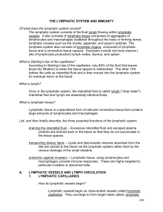 the lymphatic system and immunity