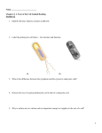 Chapter 4 Guided Reading