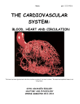 svhs advanced biology cardiovascular system