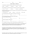 Genetics Problems – Worksheet #1