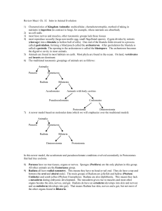 lecture notes ch32 Intro Animal Evolution