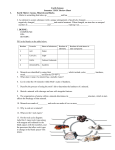 review 2nd sem EOC- WIG