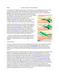 SES4UOrogenic Case Study