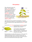 Photosynthesis - WordPress.com