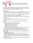 Fetal Pig Dissection: External Anatomy