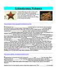 Echinodermata Webquest Visit the following web sites to answer the