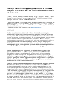 Reversible cardiac fibrosis and heart failure induced - HAL