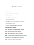 Chapter 10 - Photosynthesis