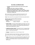 Soil, Rocks, and Minerals Notes