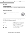 Viruses and Bacteria worksheet