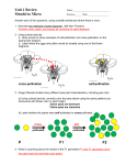 Unit 1 Review