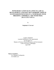 POND DESICCATION RATE AFFECTS LARVAL