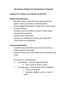 Life Science Chapter 13: Introduction to Animals