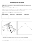 Vegetation Worksheet