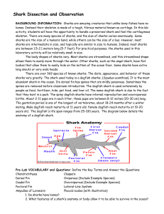 ENVIRONMENTAL EDUCATION LESSON PLAN FORMAT