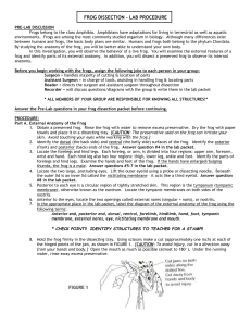 frog dissection - cloudfront.net