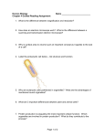 5echap4guidedreading