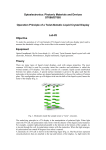 Operation Principle of a Twist-Nematic Liquid Crystal Display