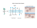 Cell Membrane Concept Map